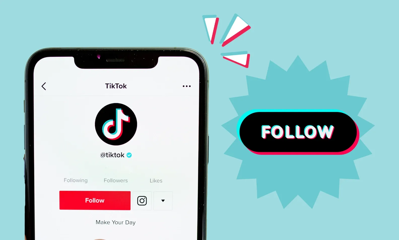 拥有 1 万粉丝的 TikTok 帐户:需要多少钱?